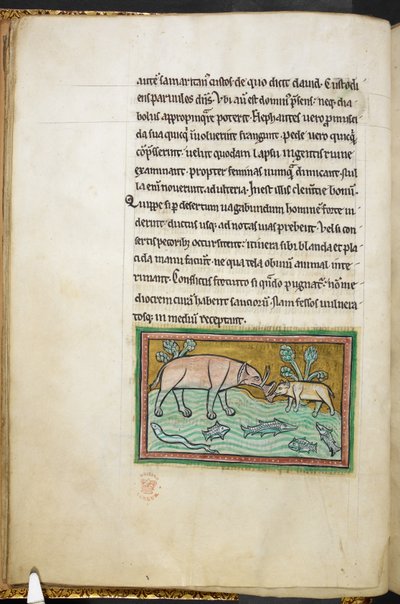 Un grande e un piccolo elefante in un ruscello pieno di pesci da English School