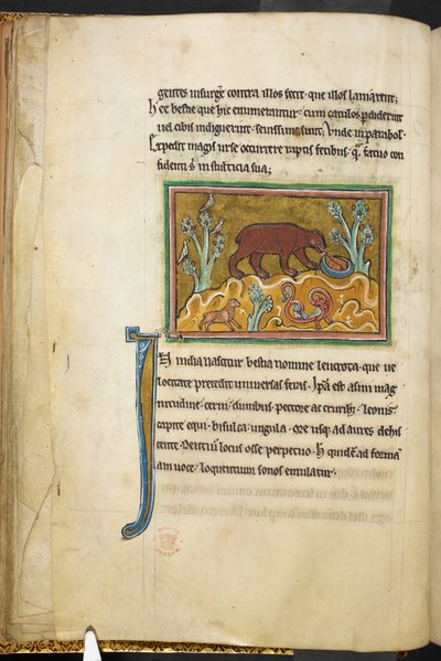 Un orso che guarda i cuccioli, da Bestiario, Lapidario, 2° quarto del XIII secolo da English School