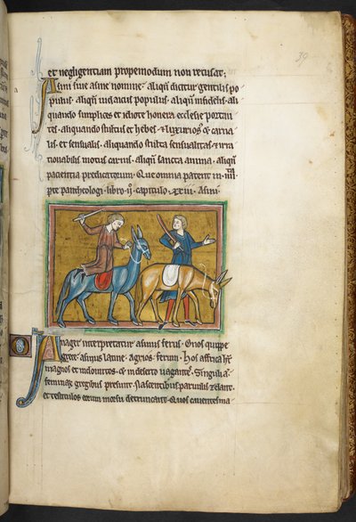 Due uomini con due asini, da Bestiario, Lapidario, 2° quarto del XIII secolo (pergamena) da English School