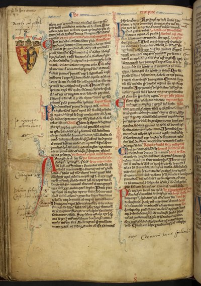 Decorazione del bordo con stemma di Riccardo Cuor di Leone, illustrazione da 