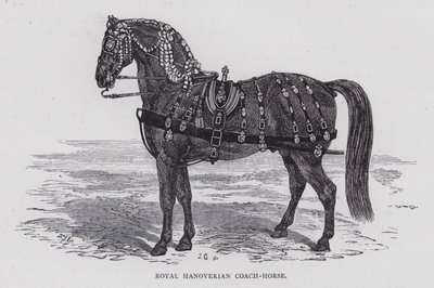 Cavallo da carrozza reale di Hannover da English School