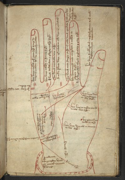Royal MS 12 C XII f.107r Lettura delle mani, in un miscellaneo medievale da English School