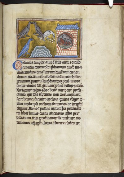 Colombe, dal 