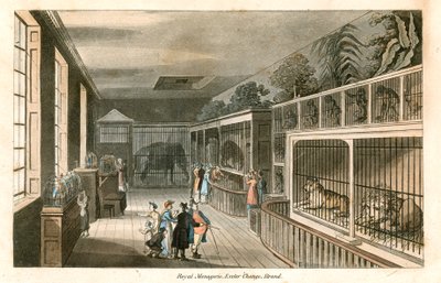 Royal Menagerie, Exeter Change, Strand (incisione a colori) da English School