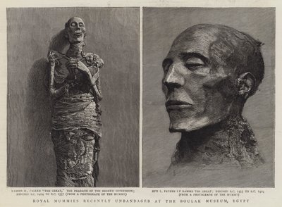 Mummie reali recentemente sbendate al Museo di Boulak, Egitto (incisione) da English School