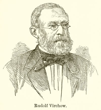 Rudolf Virchow da English School