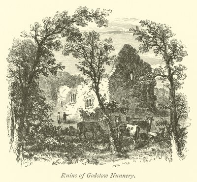 Rovine del convento di Godstow da English School