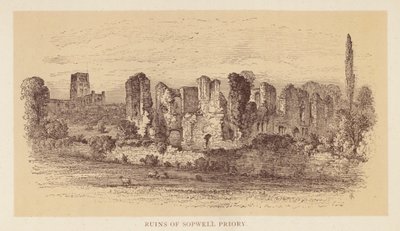 Rovine del Priorato di Sopwell da English School