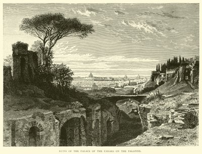 Rovine del Palazzo dei Cesari sul Palatino da English School
