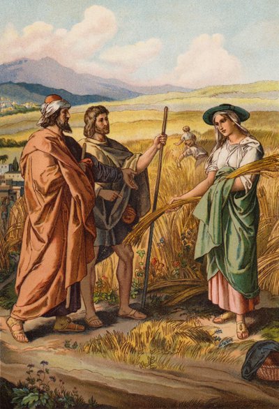 Ruth chiede a Boaz se può spigolare nel suo campo da English School