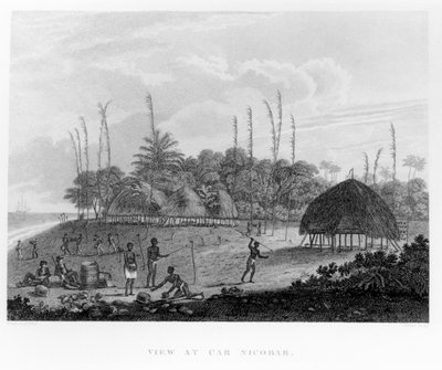 Marinai che raccolgono provviste a Car Nicobar, da Viaggi e Viaggi in India, Ceylon, Il Mar Rosso... di George, Visconte Valentia, pubblicato nel 1809 da English School