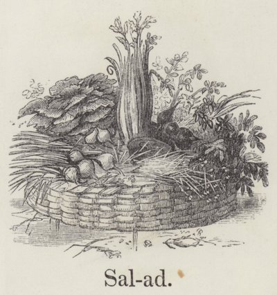 Insalata da English School