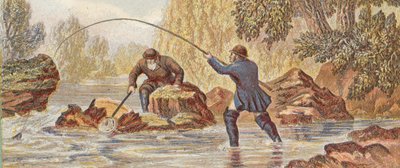 Pesca al salmone da English School