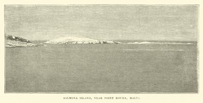 Isola di Salmona, vicino a Punto Koura, Malta da English School