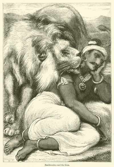 Sandrocottus e il leone (incisione) da English School