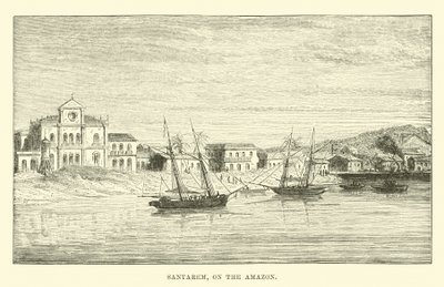 Santarem, sul Rio delle Amazzoni da English School