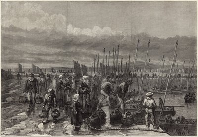Pesca delle sardine sulla costa della Bretagna da English School