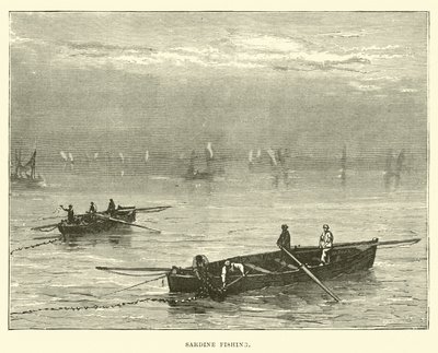 Pesca delle sardine da English School