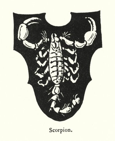 Scorpione da English School