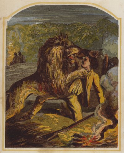 Il missionario scozzese David Livingstone attaccato da un leone in Africa da English School