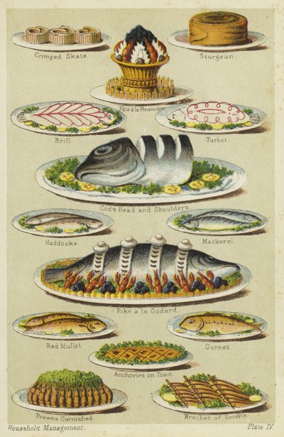 Piatti di pesce e frutti di mare da English School
