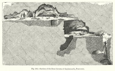 Sezione della caverna ossea di Gaylenreuth, Franconia da English School