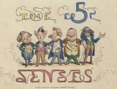 Vedere, Sentire, Annusare, Gustare, Toccare (incisione colorata) da English School
