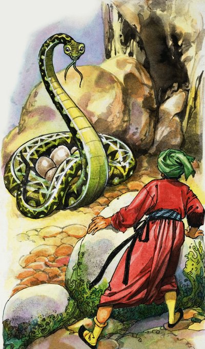 Serpente che protegge le sue uova da English School
