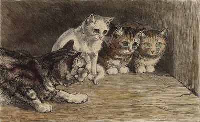 Diversi gatti che guardano la coda di un topo (incisione colorata) da English School