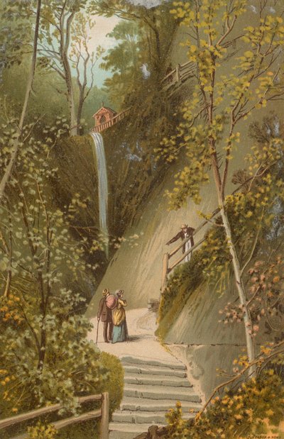 Shanklin Chine - Isola di Wight da English School