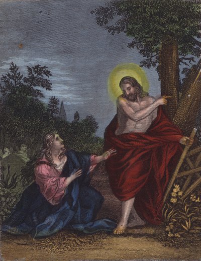 Lei, supponendo che fosse il giardiniere di Giuseppe, disse... da English School