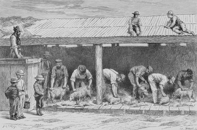 Tosatura delle pecore, c.1880, da 