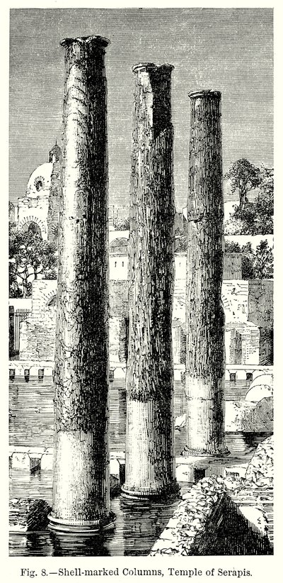 Colonne segnate da conchiglie, Tempio di Serapide (incisione) da English School