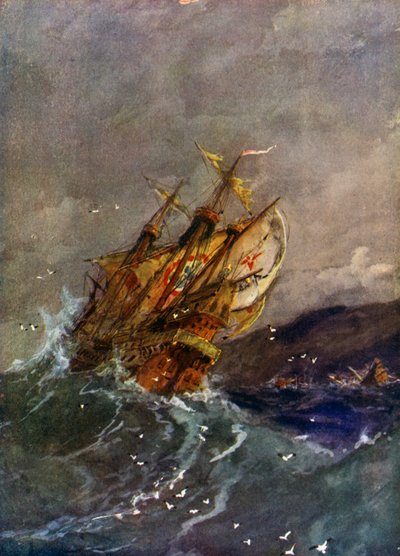 Navi dell