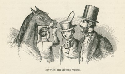 Mostra dei denti del cavallo (incisione) da English School