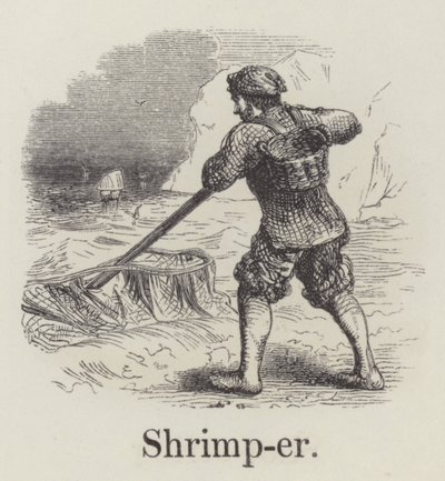 Pescatore di gamberi da English School