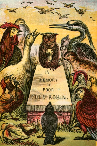 Sospirando e singhiozzando per il povero Cock Robin da English School