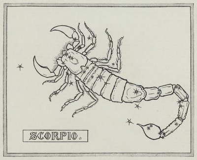 Segni dello zodiaco: Scorpione da English School