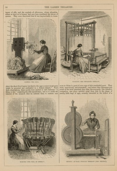 Produzione della seta da English School