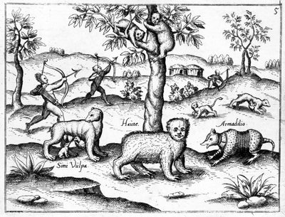 Simi Vulpa, Haute e Armadilio, illustrazione da 