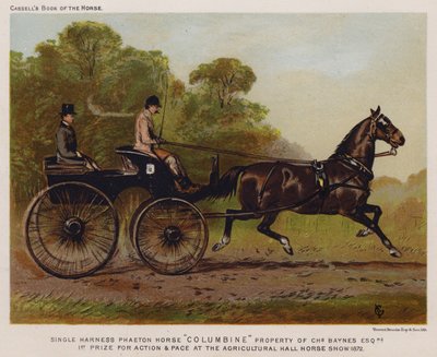Cavallo da carrozza singola "Columbine," proprietà di Charles Baynes Esq da English School