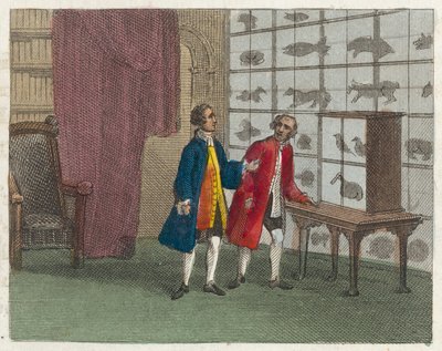 Il museo di Sir Hans Sloane da English School