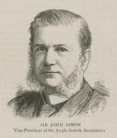 Sir John Simon, Vicepresidente dell