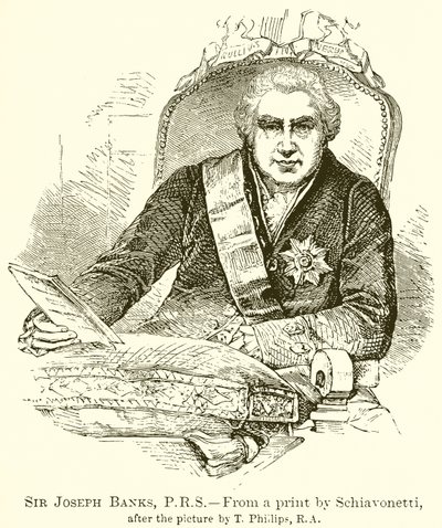 Sir Joseph Banks da English School