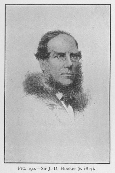 Sir Joseph Dalton Hooker (1817-1911), ritratto da English School