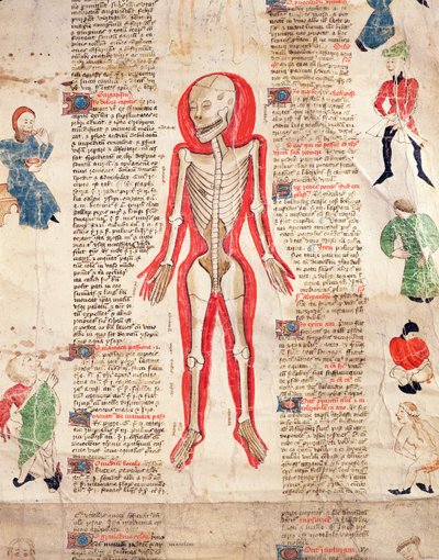 Scheletro, da De arte phisicali e de cirugia di John Ardene, 1412 da English School