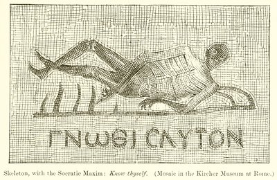 Scheletro, con la massima socratica: Conosci te stesso (Mosaico nel Museo Kircher a Roma) da English School