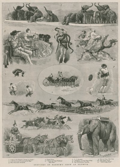 Schizzi allo spettacolo di Barnum a Olympia, Londra da English School
