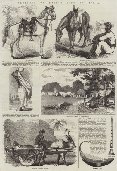 Schizzi di vita nativa in India (incisione) da English School