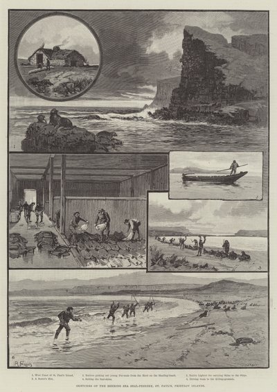 Schizzi della Pesca alle Foche nel Mare di Behring, St Paul